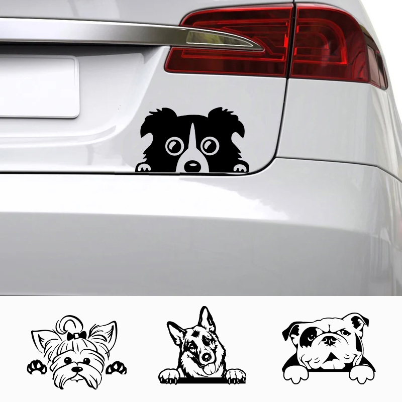Cars Accessorie Decals Funny D - Laptop Accessories Price recension och pris