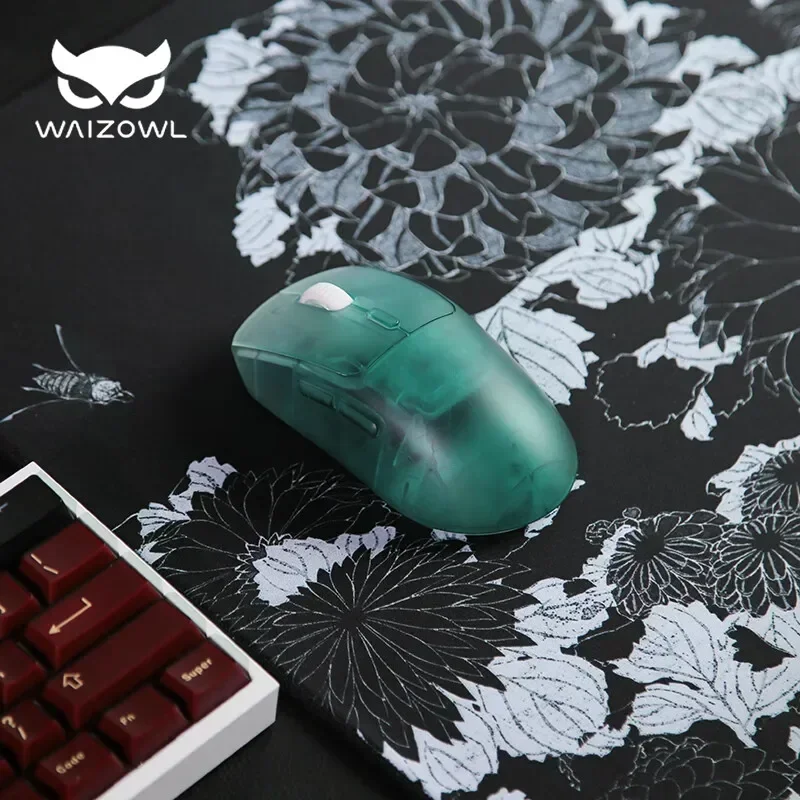 Waizowl OGM Pro Wireless Mouse - Laptop Accessories Design recension och pris